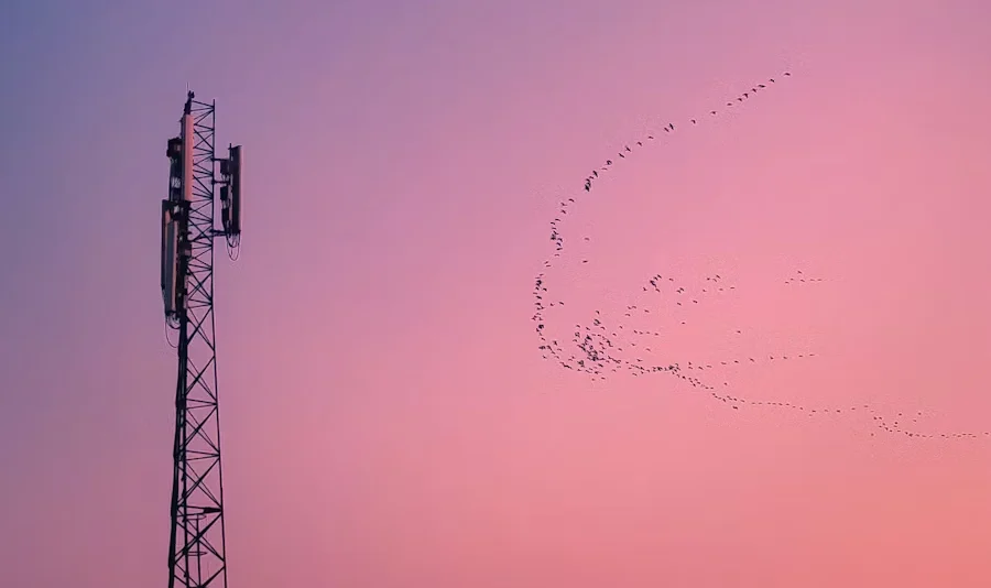 Telco